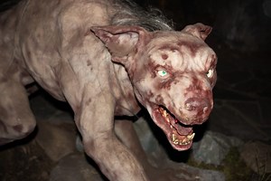 If you encounter a chupacabra, here's what to do