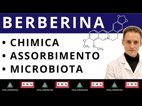 Berberine: chemical structure, pharmacokinetics, and role of the intestinal microbiota