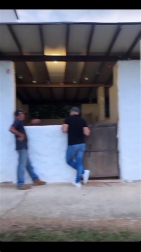 Videos de MARÍA ISABEL🦋 (@official_isabel33) con “sonido original - .”