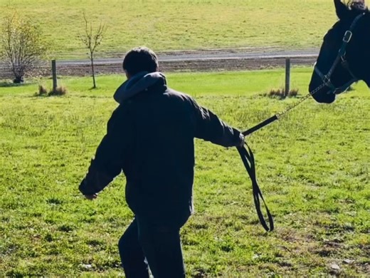 41K views · 3.2K reactions | ️We are excited to introduce Modelo,...