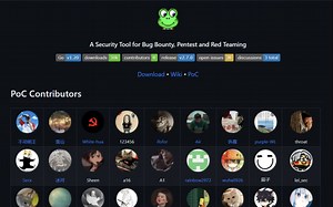 漏洞扫描测试工具——afrog，主打就是快准稳！