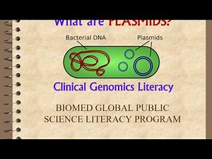 What are #plasmid - Basic information