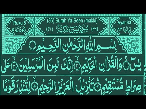 Surah Yaseen | Surah Ar Rahman | Episode 103 Beautiful quran Recitation [ FREE PALESTINE]