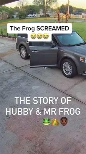 The Story of Mr. Frog: Why Does He Scream?