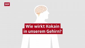 Wissen für alle – Wie wirkt Kokain in unserem Gehirn?