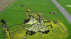 2.9M views · 51K shares | Beautiful fields of Rice Paddy art. | Mental Floss | Facebook