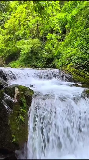 Nature Sound for Relaxation 112 Flowing Water #short #watersounds #flowingwater #naturrelaxation
