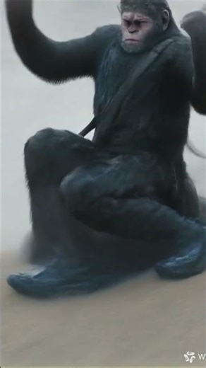 dancing monkey #nani #monkey #trendingshorts #trendingvideo #tranding #viralvideo #jaishreeram