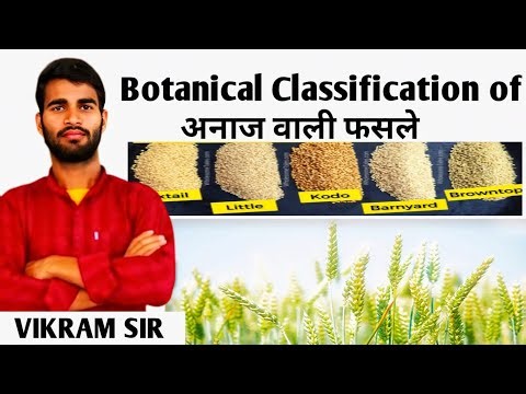 BOTANICAL CLASSIFICATION OF FRUITS AND VEGETABLE || JET|| ICAR || BHU || ROYAL INSTITUTE ||
