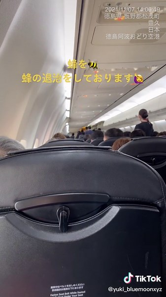 #徳島阿波おどり空港 #JAL #機内アナウンス #機内あるある