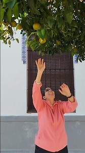 busca, busca y lo lograrás