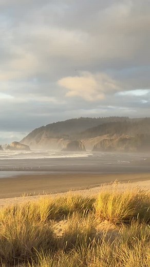 Wait for it… Your daily dose of Oregon Coast Cannon Beach therapy from a gorgeous golden hour. 🌊🌊🌊🌅 Salty Raven stores are open 11-5 everyday. Cannon Beach * Tillamook * Astoria Saltyraven.net #haystack #haystackrock #cannonbeach #goldenhour #cannonbeachoregon #pnwonderland #pnw #oregon #oregoncoast #photography #naturephotography #bestoforegon #bestoforegoncoast #saltyraven #saltyravenastoria #saltyravencannonbeach | Salty Raven Cannon Beach