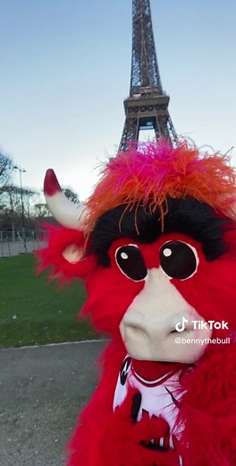 Chicago Bulls Funko Pop NBA Paris