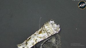 28K views · 879 reactions | Air Gun သုံးရင် မှုတ်လိုက် ဆုတ်လိုက် Heat Gun သုံးရင် မလိုက်-ချလိုက် ဘာကြောင့် မလိုက်-ချလိုက်လဲ 路‍♂️ Video ကိုသေချာ ကြည့်လိုက်နော် ကြိုက်ရင် Please Like & Share iPhone Pro | IP Man | Facebook