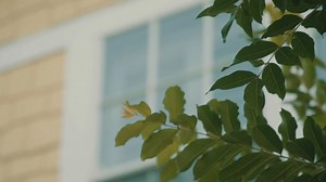 Finally some good property insurance news coming for Florida homeowners