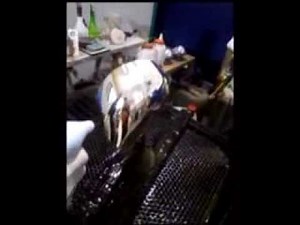 Easy Chrome Kit en DEMO