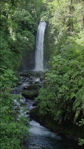 Musique douce relaxante et apaisante pour se détendre, méditer et dormir. Méditation et relaxation.