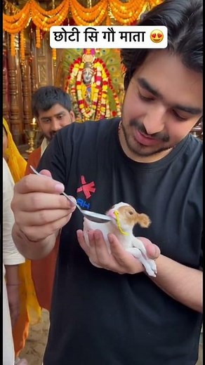 Comment radhe krishna When You see Smallest Gau Mata lPeaceful Devotional Vibes 😍😍 #cow #peace