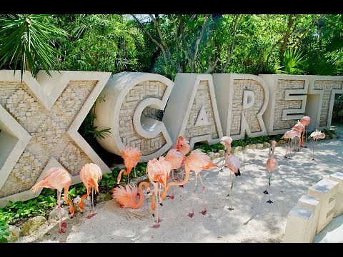 XCARET PARK - Mexico's Majestic Paradise