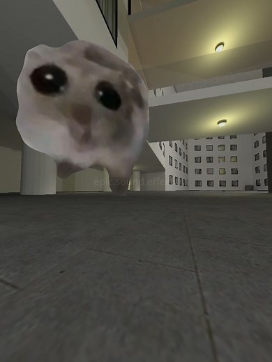 Epic Hamster and Backrooms Sound Effects Compilation