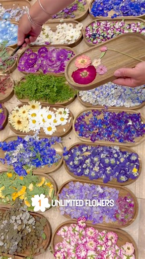 🌸 Grand Opening in Frisco, Texas – Join Us for a Creative Escape with Maivie! 🌸 We’re thrilled to invite you to the grand opening of Maivie’s Pressed Flower Workshop in Frisco, TX! 🎉 Looking for a unique way to unwind and tap into your creativity? Our signature workshop blends art and nature in the most beautiful way. 🌼 🌿 Why Attend Maivie’s Grand Opening? ✨ Celebrate our new location in Frisco 🎨 Guided by expert instructors 🌸 All materials included – just bring yourself! 👯 Perfect for a