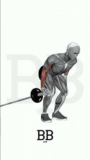 Single Arm Landmine Row (BACK): Build Upper Back Thickness & Balance! 💪
