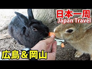 (55) [Day 38] I went to Rabbit Island, but it looked different than usual.《Summer vacation trip a...