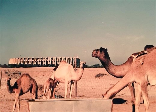 You need to see these pictures of Zayed Sports City Stadium in the 70s and 80s | Time Out Abu Dhabi