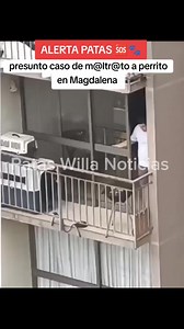 Presunto caso de maltrato animal en el distrito de Magdalena del mar #NolMaltratoDeLosAnimales #Justicia #perros | Patas Willa