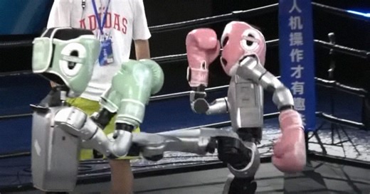 Wild Video Shows Robots Fighting in Kickboxing Match