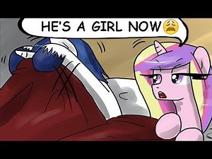 MY LITTLE PONY COMIC SHINING ARMOR IS A GIRL?