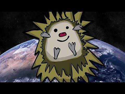 Hedgehog Flies to Space! (Hedgehog Launch)