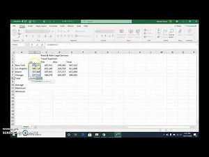 Excel Module 1 Skills Review Travel