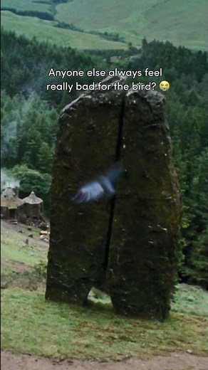 A bird flies into the Whomping Willow #HarryPotter #PrisonerOfAzkaban