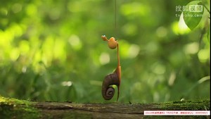 Excel教程Excel函数Excel透视表Excel电子表格Excel实用技巧Excel2010高效办公office2010Excel视频教程一幅图让你学懂Vlookup函数