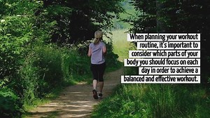 What Parts Of My Body Should I Workout Each Day