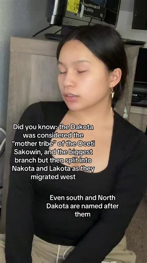 Dakota (Santee) was the broad term for the people in that area, that’s why north and South Dakota were named after them. However, the tribe before colonization had two other group dialects move, hence, the Teton (plains) Lakota and the Yankton/Yanktonai Nakota spread west. All the band names describe their territory, like Teton for the plains or the Sisseton wahpeton which translates to woodland stayed in the Great Lakes area, yet Yankton just means village so idk. Everyone seems to think Lakota