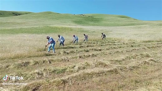 《C Ə L İ L A B A D》 (@15_azimoff_945)’s videos with orijinal ses - Murad Mirələmzadə