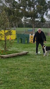 So stoked to have the one and only Bill Bailey visit our Rescue Centre Greysland and meet some of our Noodles! Chick even had the pleasure of a casual game of soccer. You're welcome back any time Bill Bailey thanks for stopping by! | Greyhound Rescue