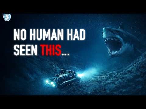 The Deepest Place on Earth Was Just Explored - Here’s What Was Found