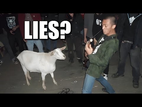 Did This Goat Actually Enjoy Heavy Metal?
