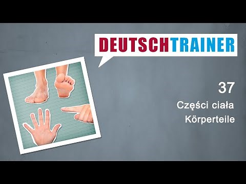 Niemiecki dla początkujących (A1/A2) | Deutschtrainer: Części ciała