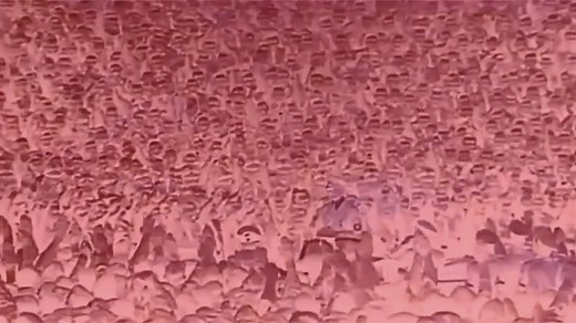 Adolf Hitler's Great Escape