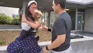 The moment Leo the Yorkie is reunited with his owner Jacqueline! Thanks everyone who shared this story and helped spread the word. Someone bought him, saw he was stolen and turned him into SFPD! ❤️ | Dion Lim