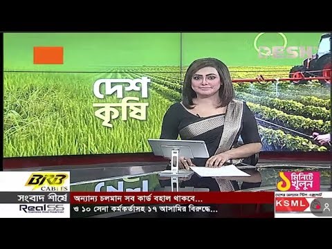 ভোলায় বেড ও মাদা পদ্ধতিতে সবজা আবাদে ঝুঁকে পড়ছেন নারীরা | vegitables | women farmers | bhola |