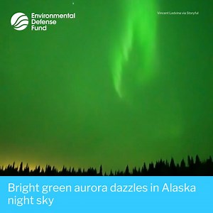 36 reactions | A striking green aurora illuminated the sky over Fairbanks, Alaska, on September 20. Video recorded by Vincent Ledvina shows the vibrant green aurora swirling in the night sky, with its green color bouncing off the snow-covered landscape. Ledvina is a self-described “aurora chaser” and said this particular clip is one of his favorites recorded to date. #NorthernLights #Aurora #AuroraBorealis #NightSky #Earth #Nature #Atmosphere #Space | Environmental Defense Fund | Facebook