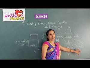 CLASS 5 SCIENCE LESSON 1 PART 2 LIVING THINGS GROW BREATHE AND RESPOND ONLINE VIDEO