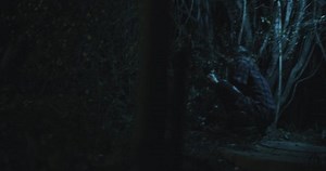 Scary Zombie Creature Woman Eating Human Stock Footage Video (100% Royalty-free) 1052765888 | Shutterstock