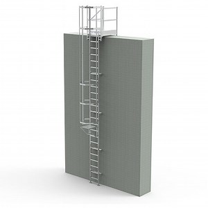Echelle à crinoline avec palier de sortie frontale 1m et trappe de condamnation - Hauteur à franchir 2.50 à 2.80m - CS28-CPSH-100-CVAP