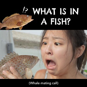 You guys probably eat fish all the time, but do you know exactly how a fish swims? We are gonna show you how to dissect a fish so you know exactly what is happening inside! | Just Keep Thinking